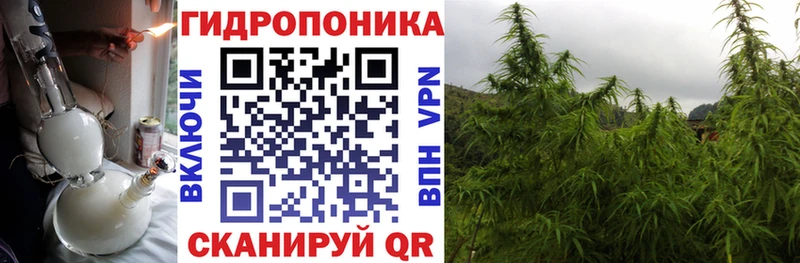 Где можно купить наркотики Балахна KRAKEN онион СК Гашиш COCAIN Амфетамин